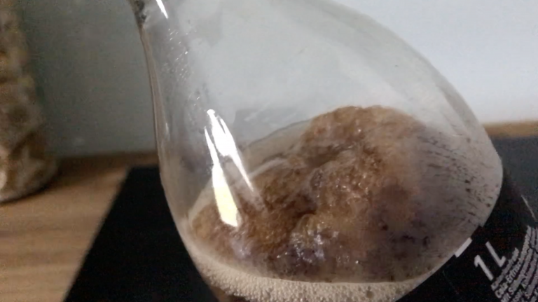 Teil 16: Die zweite Beschwerde, Runde 1